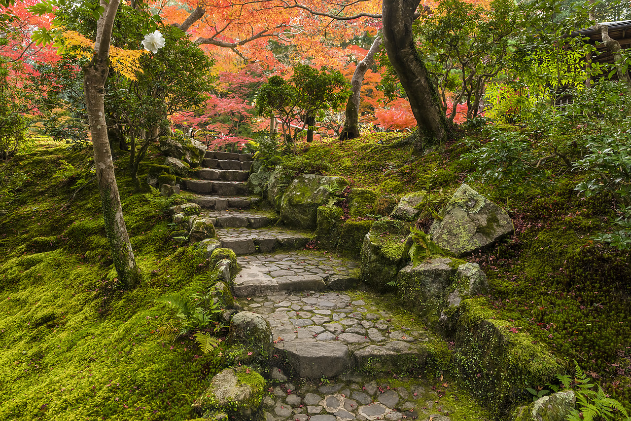 #190719-1 - Garden Steps in Autumn, Jardin Isuien, Nara, Kansai, Japan