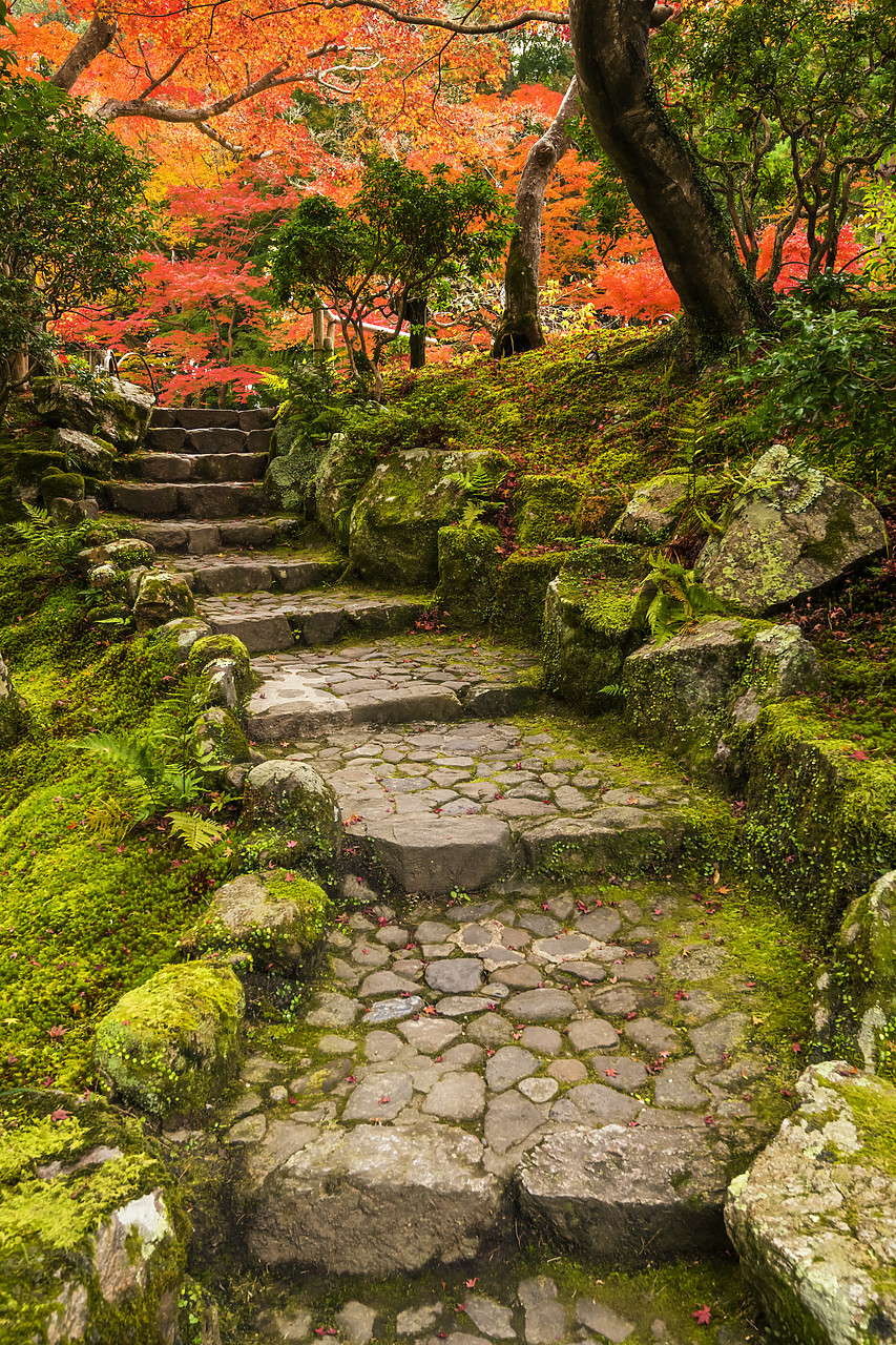 #190719-2 - Garden Steps in Autumn, Jardin Isuien, Nara, Kansai, Japan
