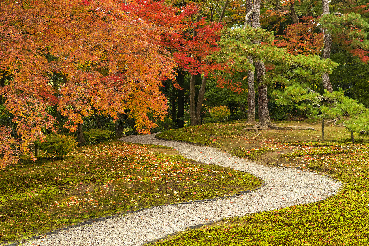 #190720-1 - Garden Path in Autumn, Jardin Isuien, Nara, Kansai, Japan