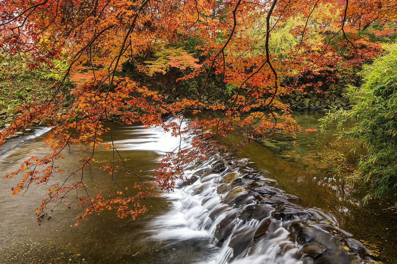 #190726-1 - Takano River in Autumn, Kyoto, Japan