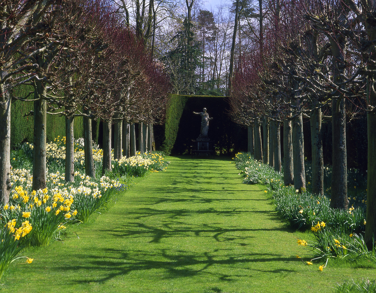 #200224-1 - Bradenham Hall Gardens in Spring, Bradenham, Norfolk, England