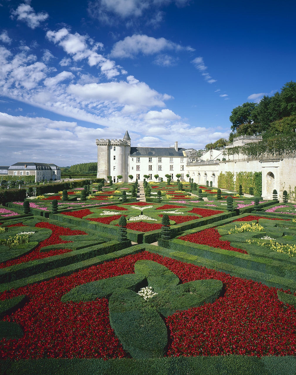 #200276-3 - Chateau Villandry, & Garden of Love, Loire Valley, France