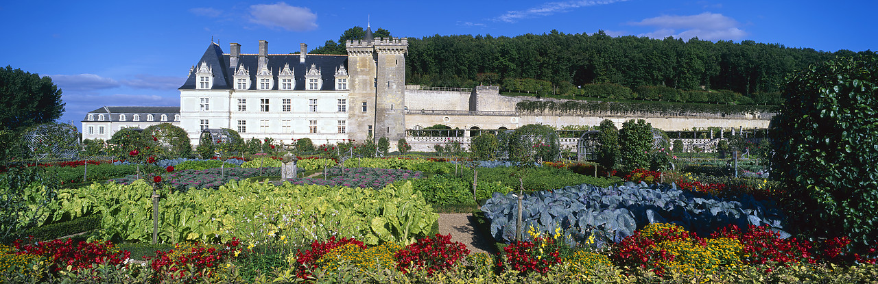 #200281-3 - Chateau Villandry & Garden, Villandry, Loire Valley, France
