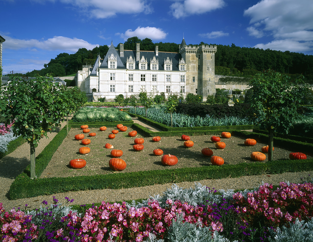 #200282-2 - Chateau Villandry & Garden, Loire Valley, France