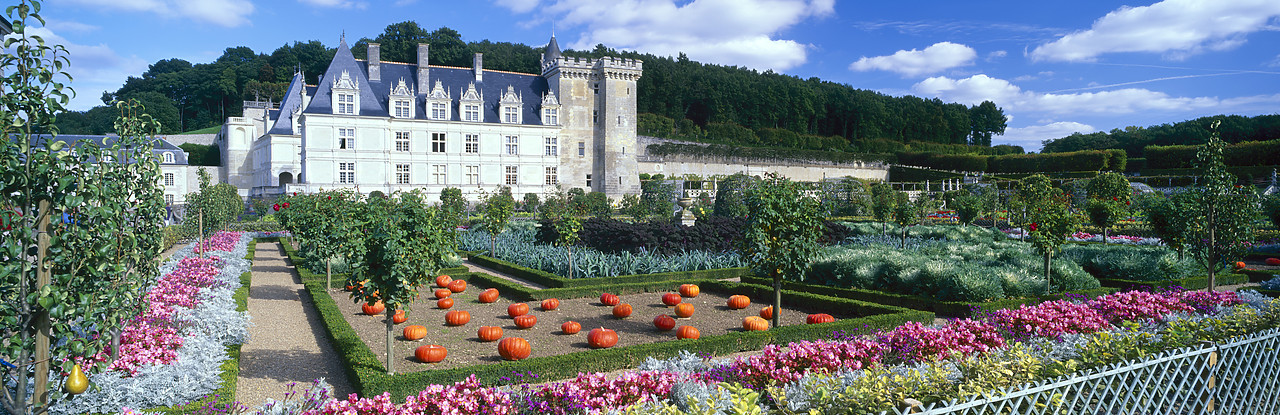 #200282-3 - Chateau Villandry & Garden, Loire Valley, France