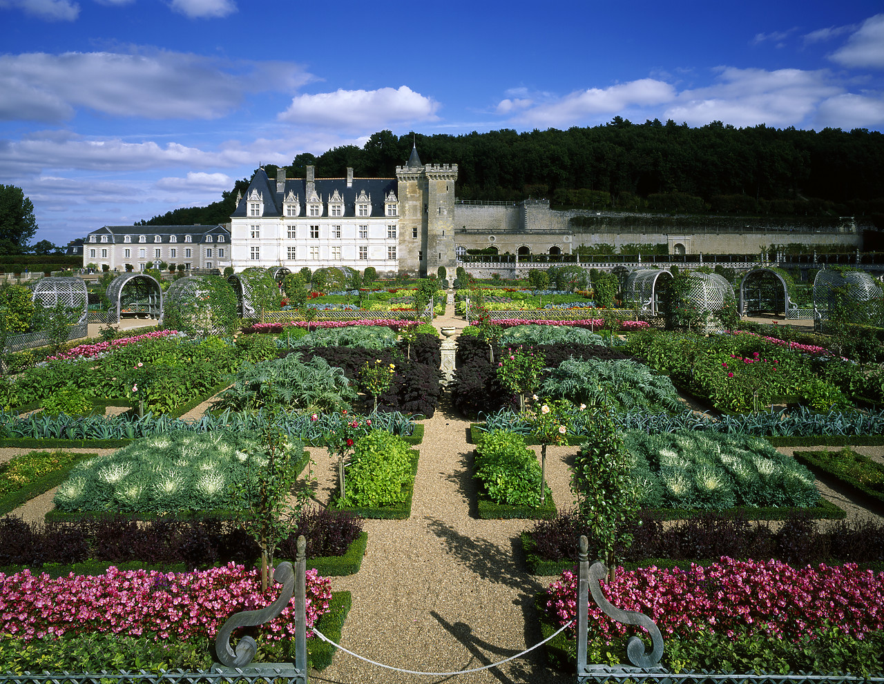 #200284-1 - Chateau Villandry & Garden, Loire Valley, France