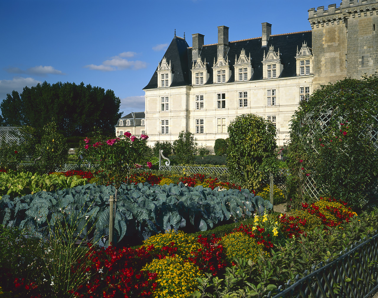 #200285-2 - Chateau Villandry & Garden, Loire Valley, France
