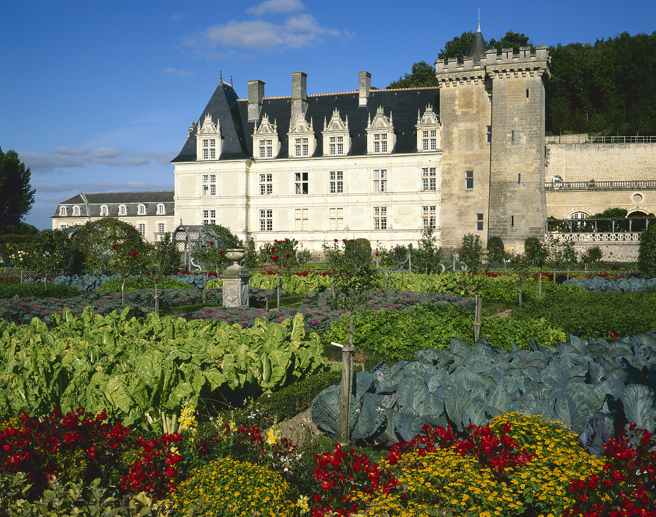 #200286-1 - Chateau Villandry, Loire Valley, France