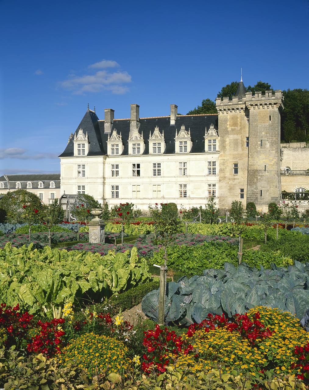 #200286-3 - Chateau Villandry, Loire Valley, France