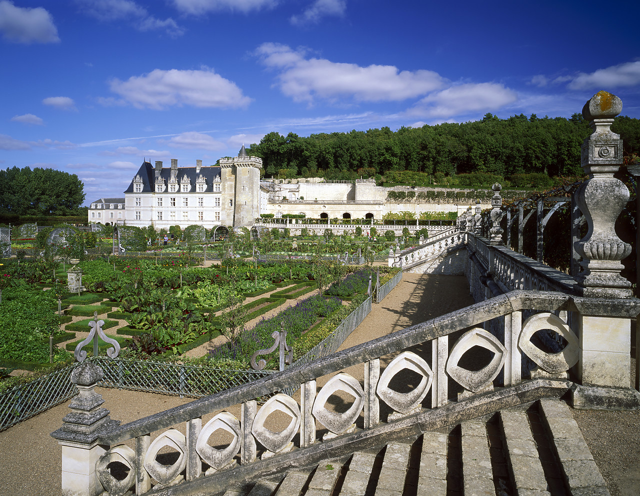 #200287-1 - Chateau Villandry & Garden, Loire Valley, France