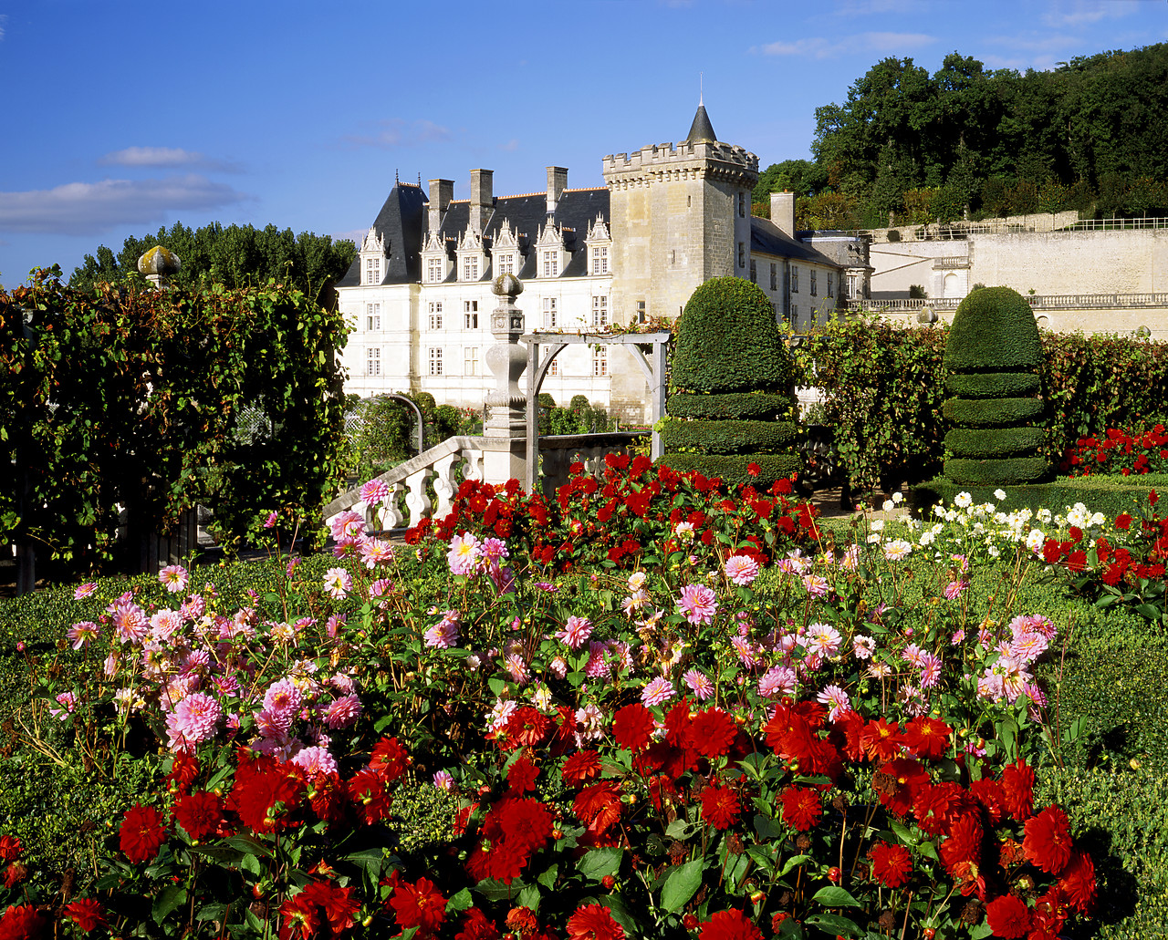 #200288-2 - Chateau Villandry & Garden, Loire Valley, France