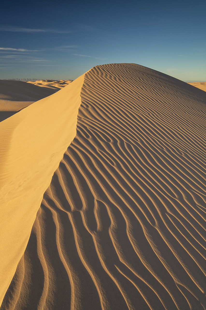 #220011-1 - Imperial Sand Dunes National Recreation Area, California, USA
