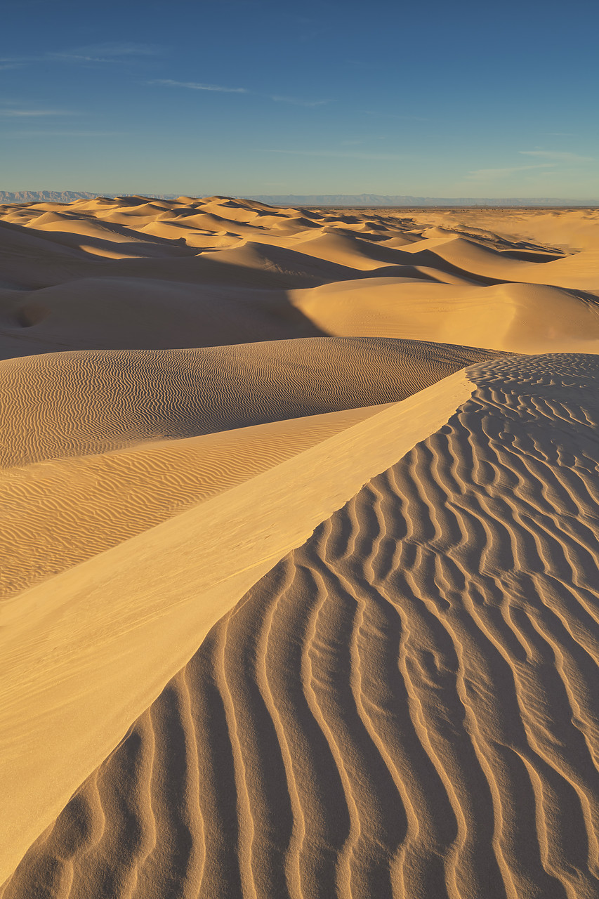 #220012-2 - Imperial Sand Dunes National Recreation Area, California, USA