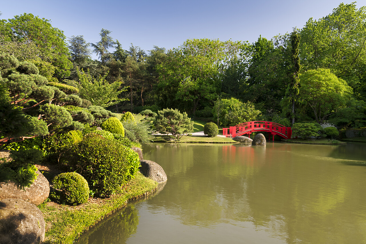#220245-1 - Pierre Baudis Japanese Garden, Haute-Garonne, Occitanie Region, Toulouse, France