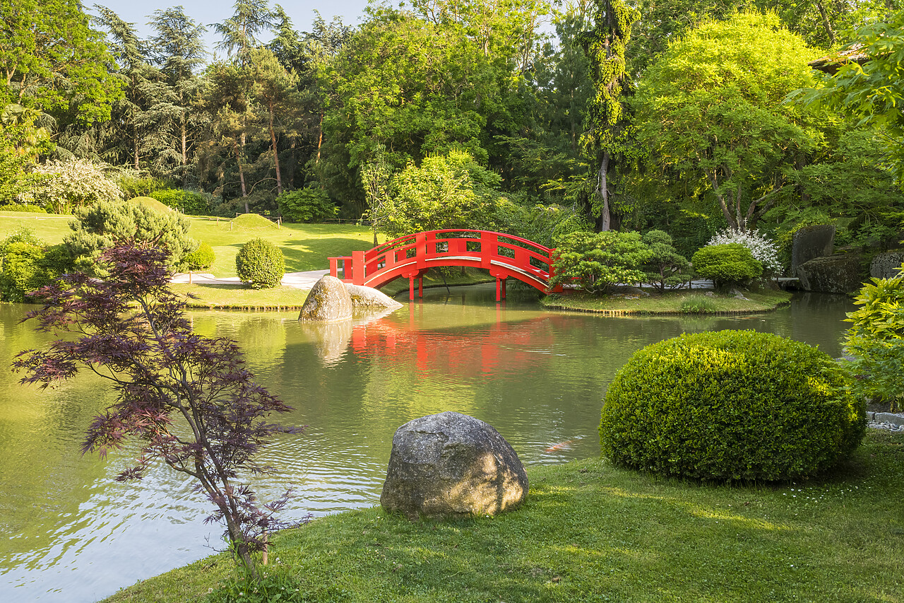 #220246-1 - Pierre Baudis Japanese Garden, Haute-Garonne, Occitanie Region, Toulouse, France