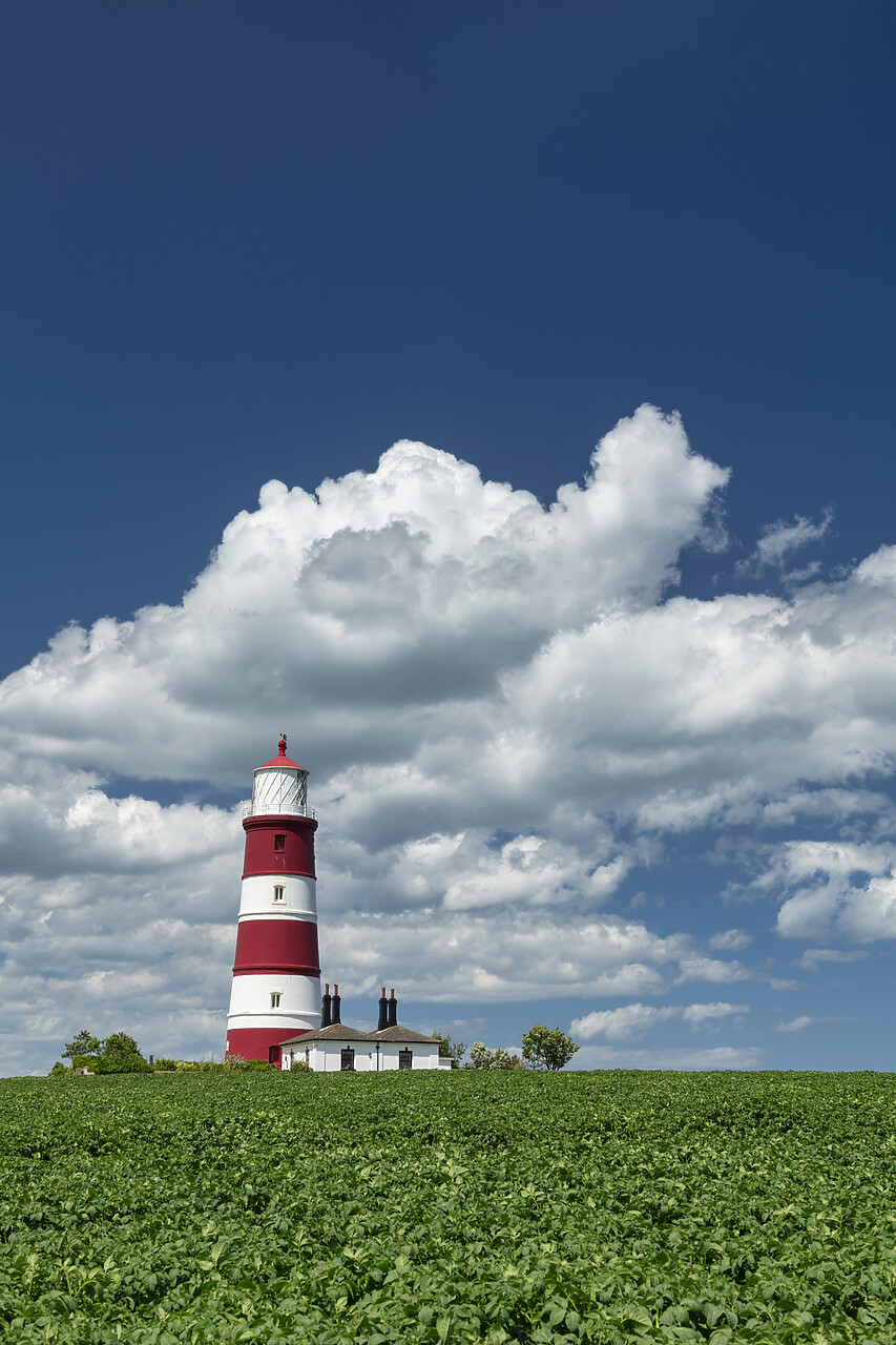 #220336-2 - Happisburgh Lighthouse, Happisburgh, Norfolk, England