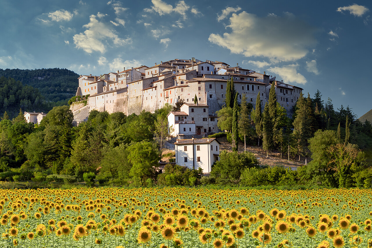 #220363-1 - Castel San Felice & Sunflowers, Umbria, Italy