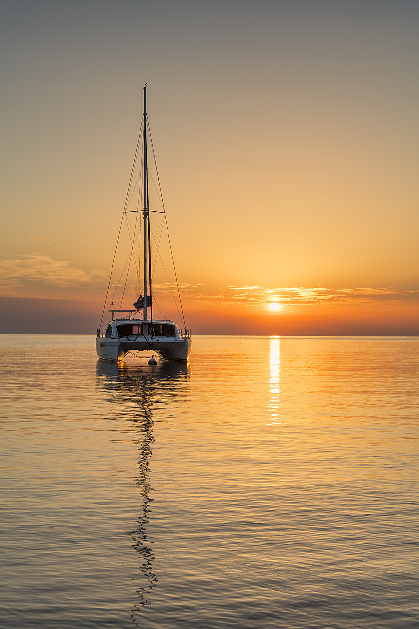 #220602-1 - Catamaran at Sunrise, Collioure, PyrÃ©nÃ©es-Orientales, France