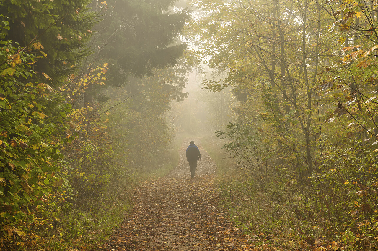 #220609-1 - Man Walking on Misty Forest Path in Autumn, Baden-Wurttemberg, Germany