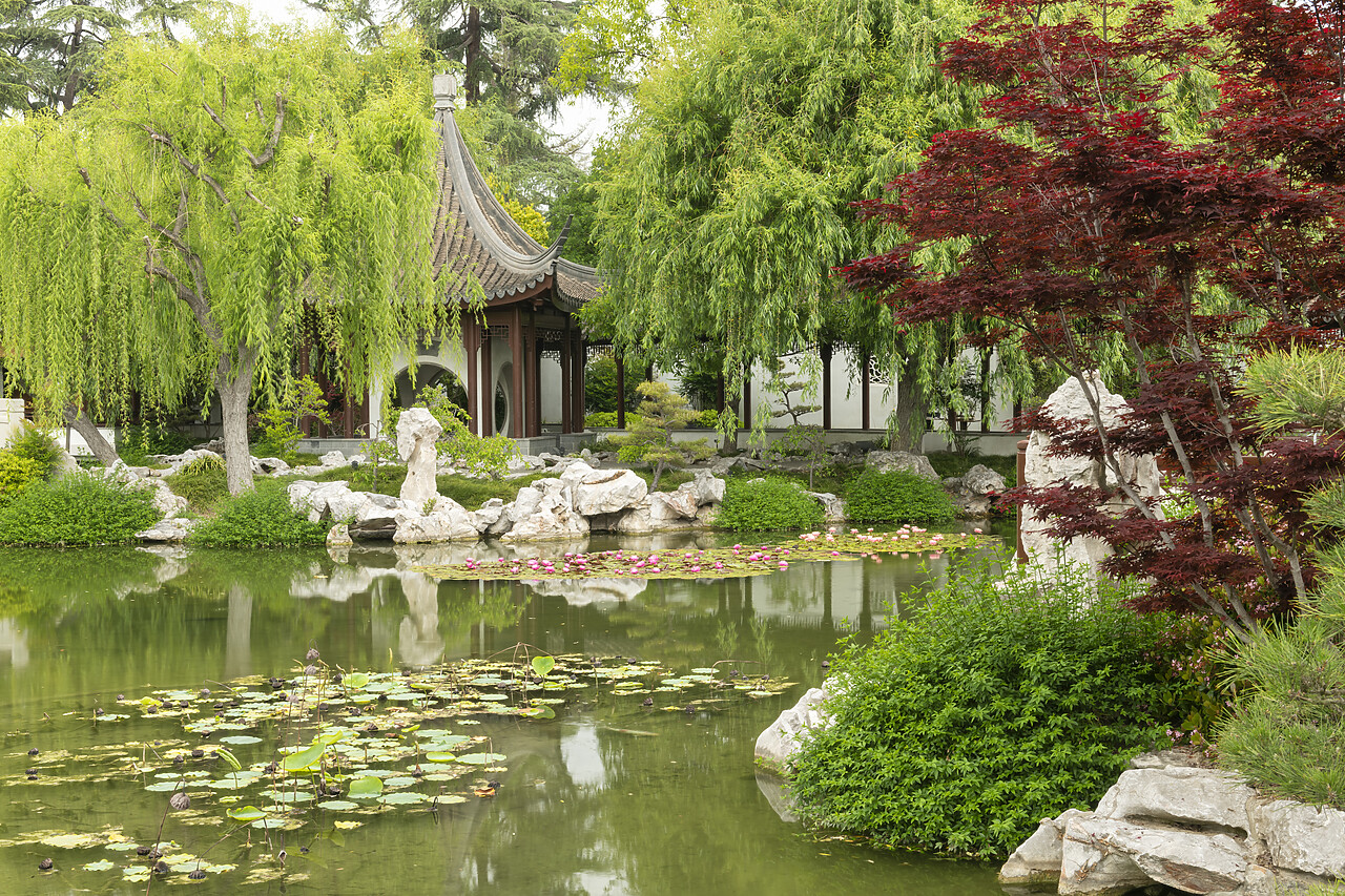 #230099-1 - Chinese Garden at Huntington Botanical Gardens, San Marino, California, USA