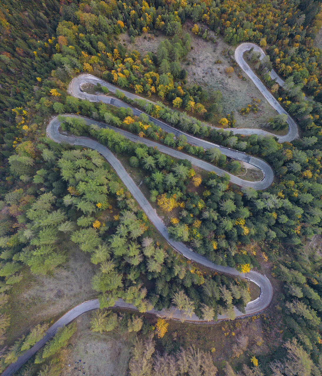 #230344-1 - Aerial View of Road Winding Through Forest, Julian Alps, Slovenia, Europe