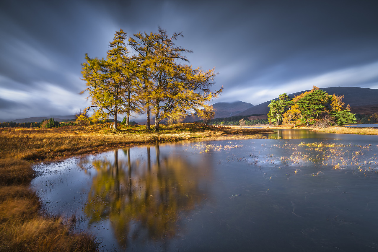 #400280-1 - Larch Trees Reflecting in Loch Tulla in Autumn, Argyll & Bute, Scotland