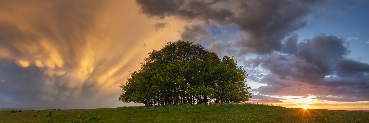 #410144-2 - Mammatus Storm Clouds over Beech Trees at Sunset, Win Green Hill, Wiltshire, England