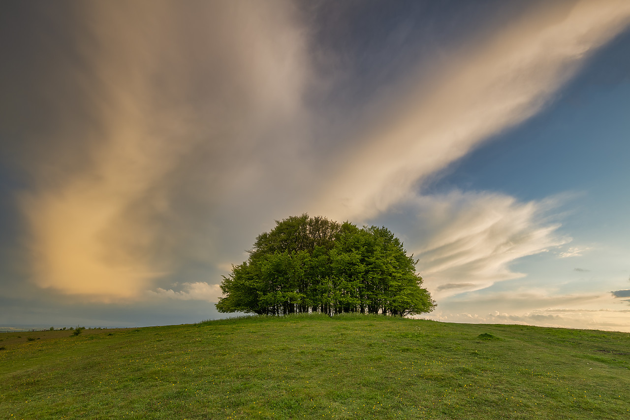 #410151-1 - Cloudscape over Beech Trees, Win Green Hill, Wiltshire, England