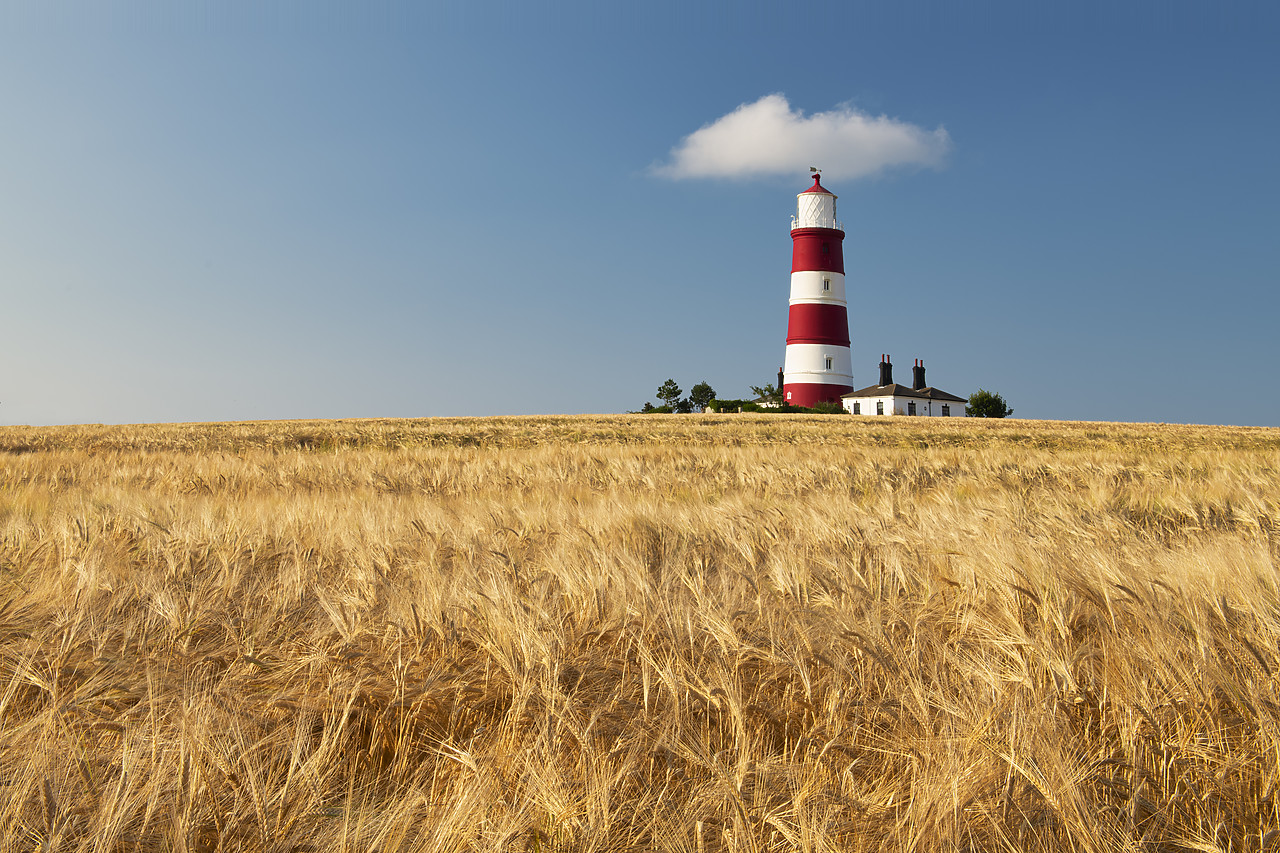 #410331-1 - Happisburgh Lighthouse & Field of Wheat, Norfolk, England