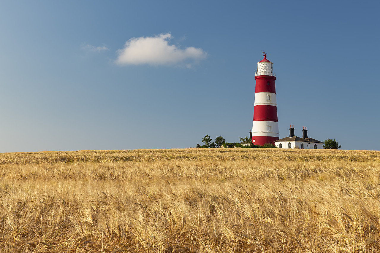 #410332-1 - Happisburgh Lighthouse & Field of Wheat, Norfolk, England