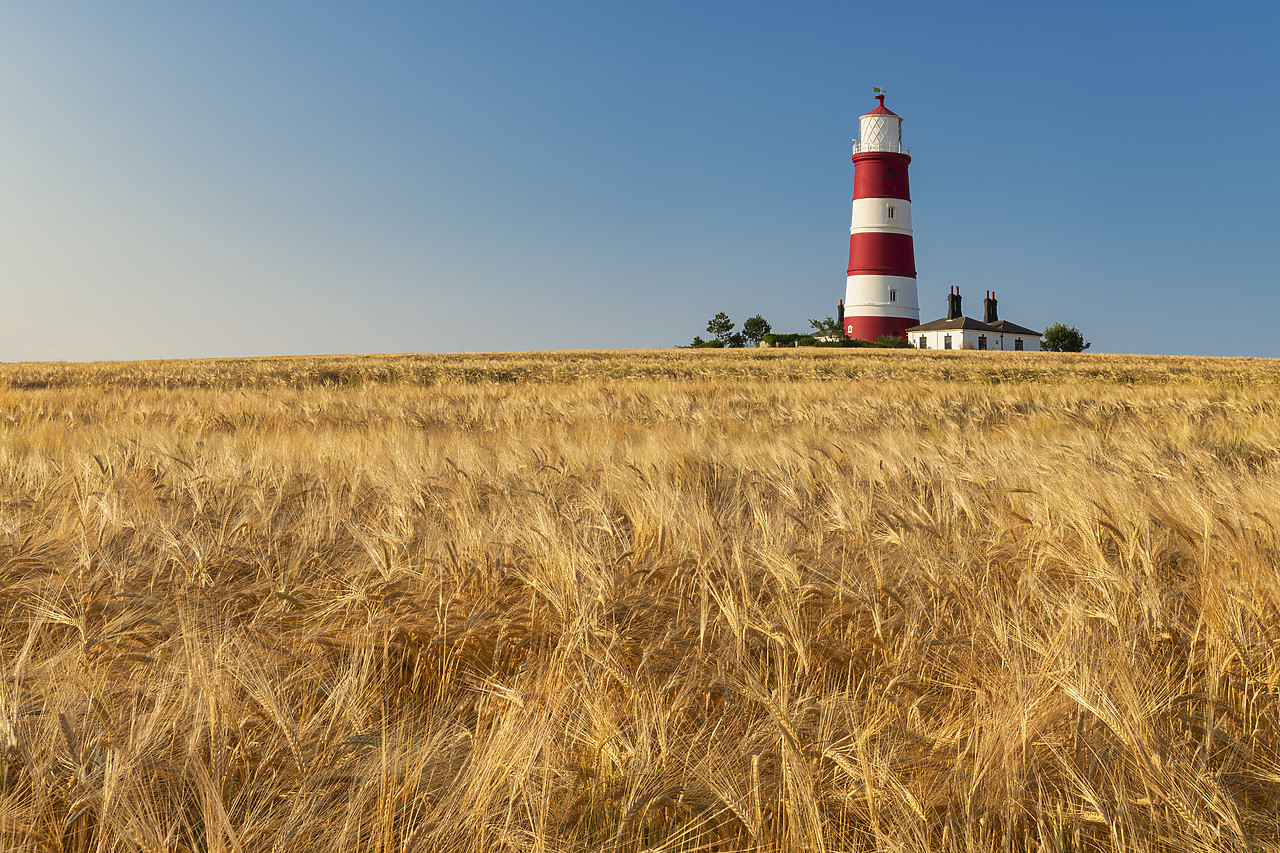 #410333-1 - Happisburgh Lighthouse & Field of Wheat, Norfolk, England