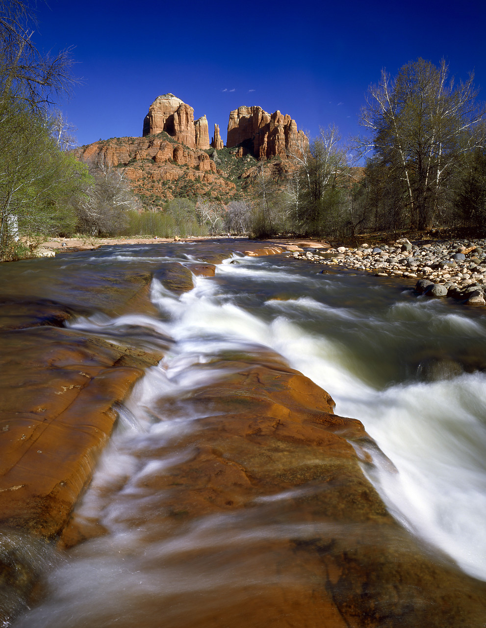 #85297 - Cathedral Rock, Red Rock Crossing, Sedona, Arizona, USA