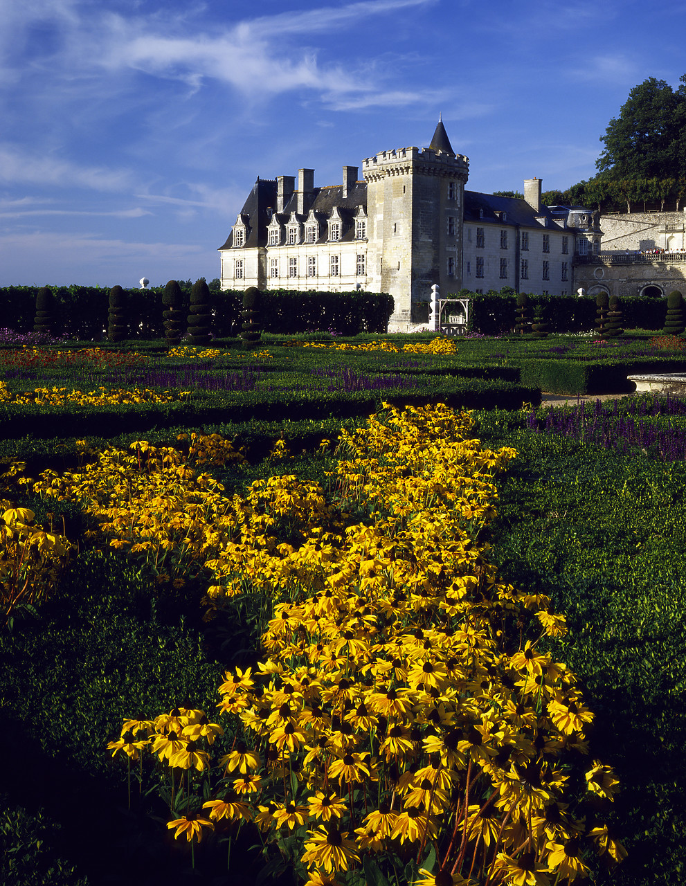 #871059-2 - Chateau Villandry & Garden, Loire Valley, France