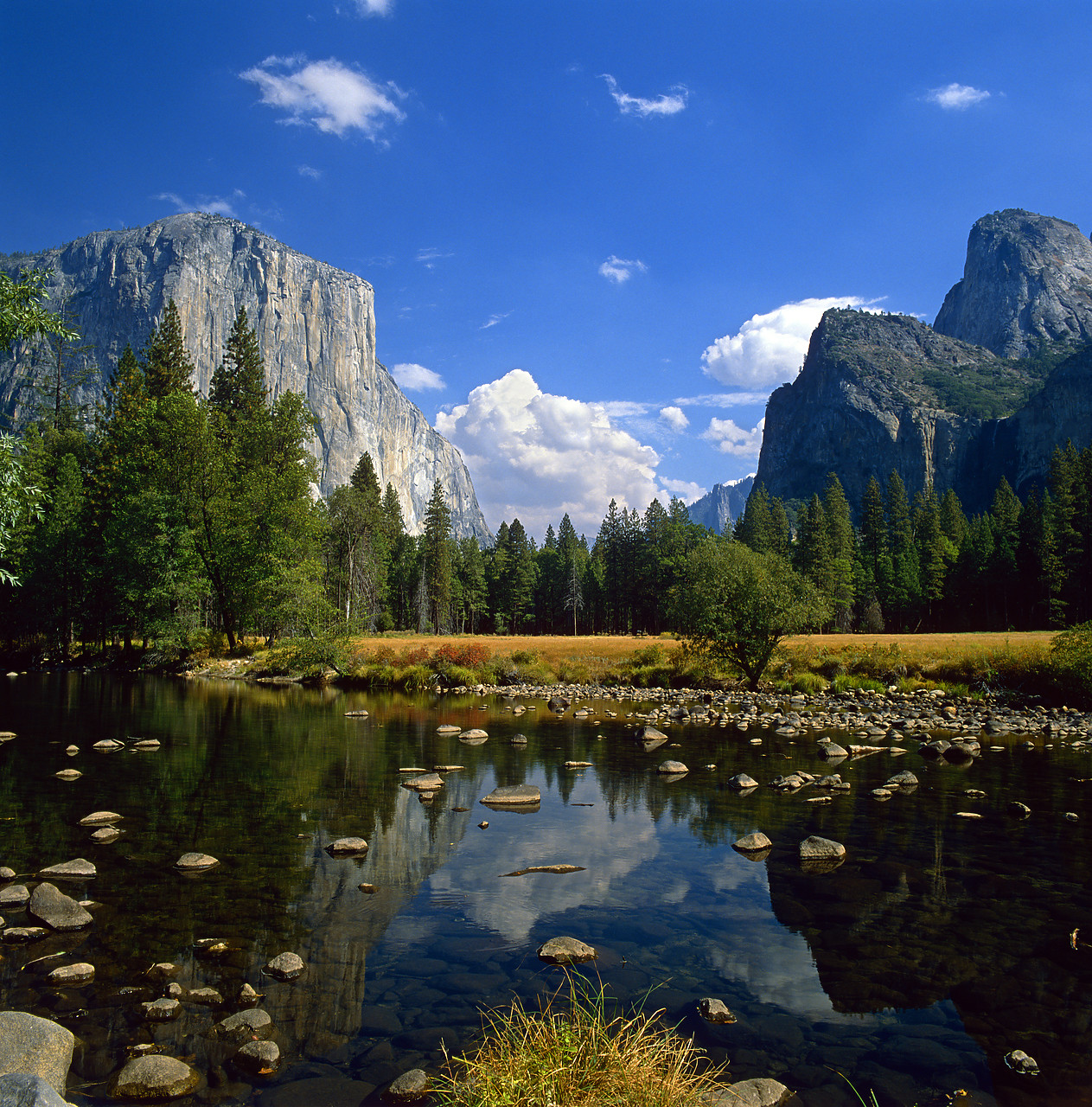 #881601-6 - El Capitan Reflecting in Merced River, Yosemite National Park, California, USA