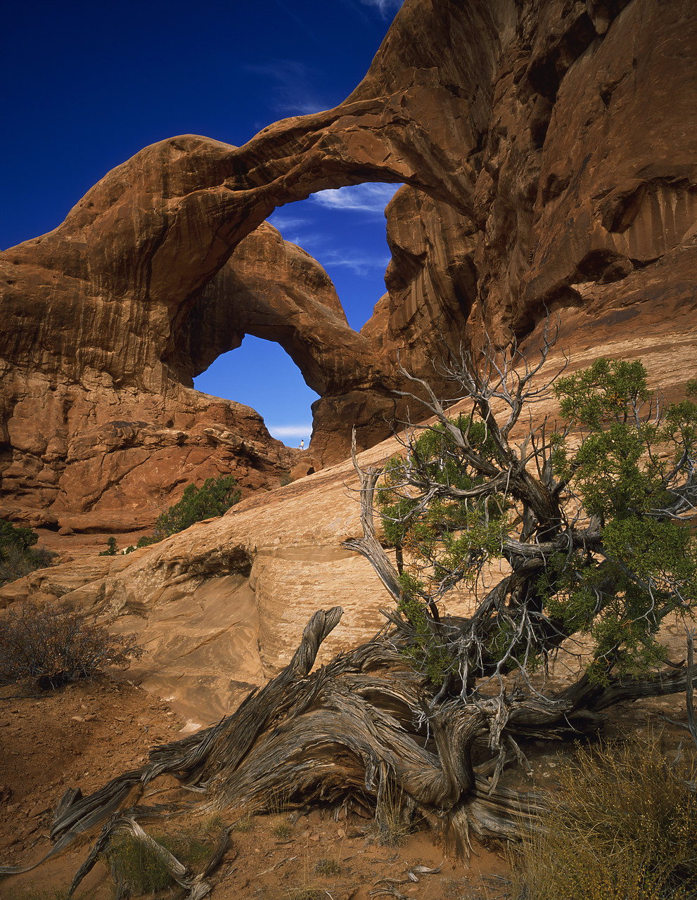 #881620-2 - Double Arch, Arches National Park, Utah, USA