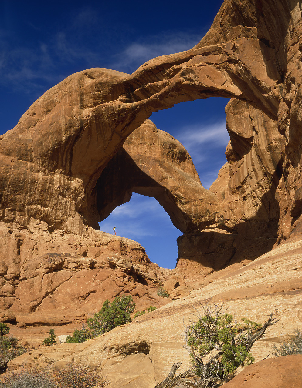 #881622 - Double Arch, Arches National Park, Utah, USA