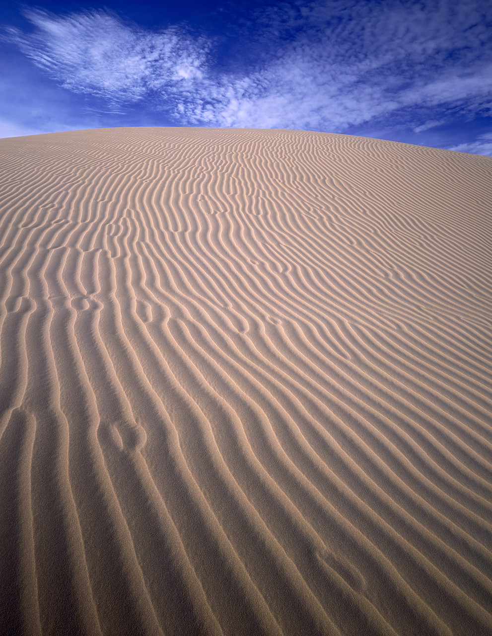 #891956-2 - Sand Dune Patterns, near Yuma, Arizona, USA