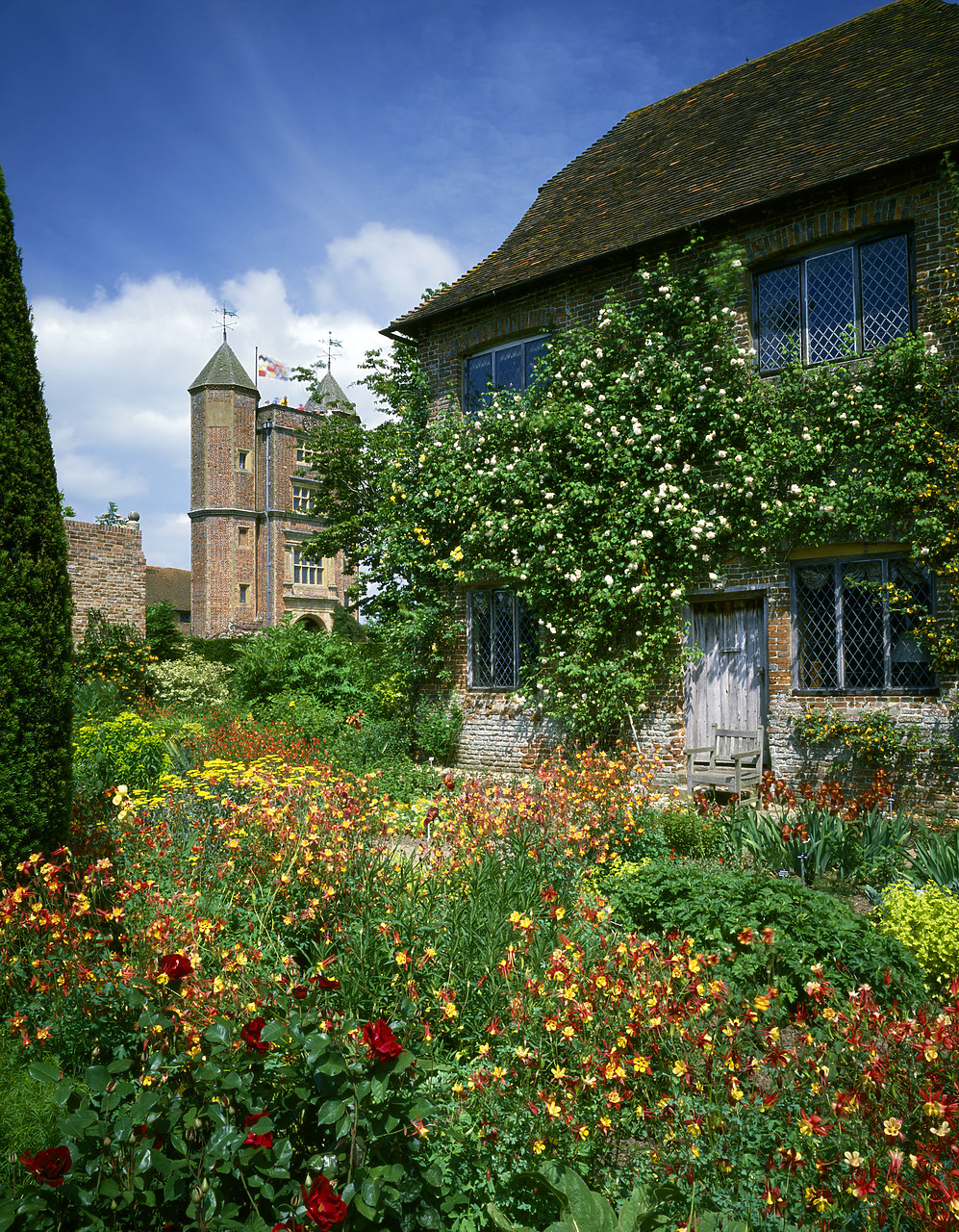 #892229-4 - Sissinghurst Gardens & Cottage, Sissinghurst, Kent, England