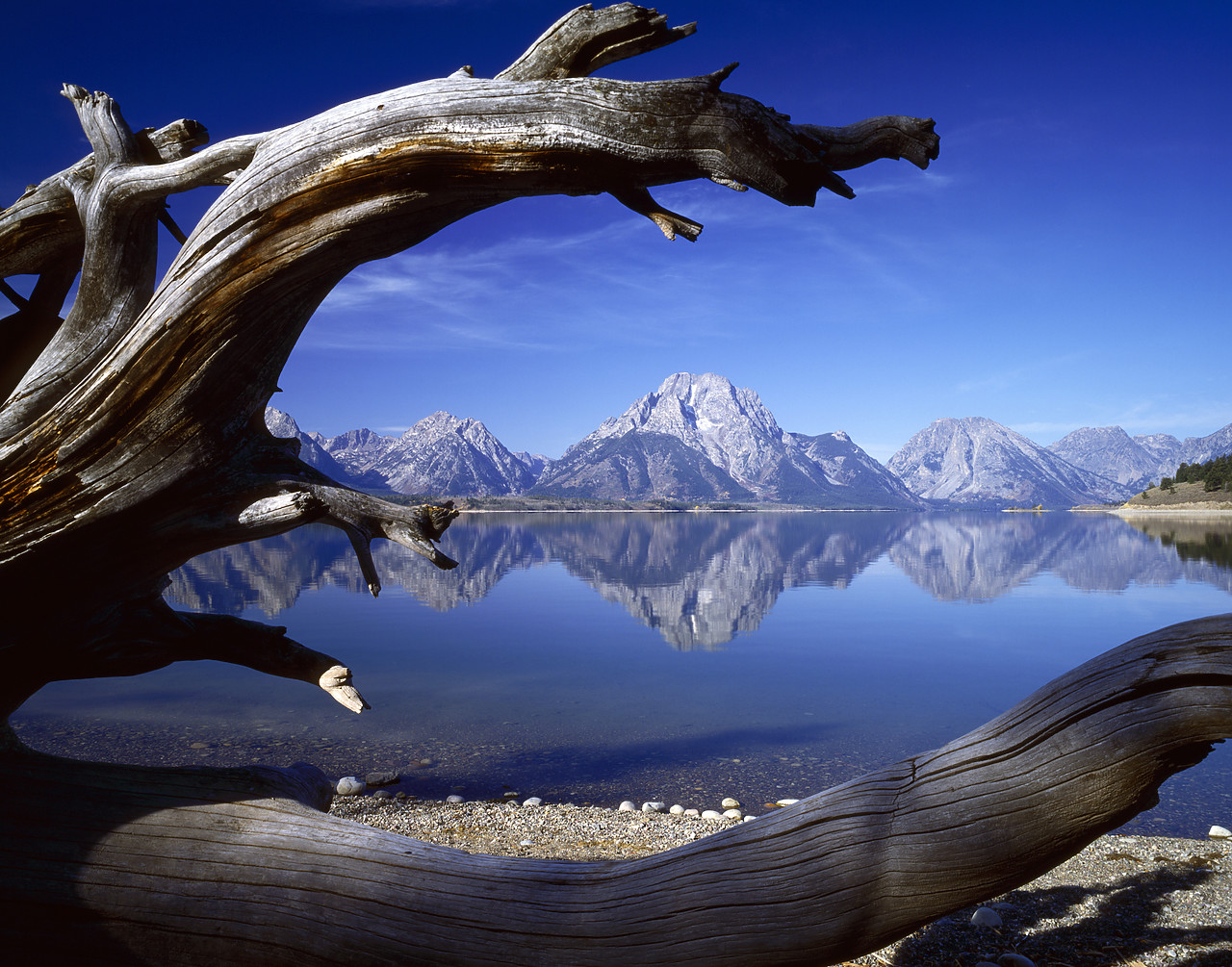 #913720-1 - Grand Tetons Reflecting in Jackson Lake, Grand Tetons National Park, Wyoming, USA