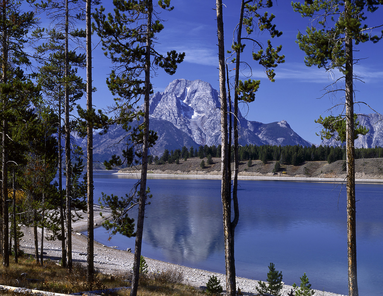 #913731-1 - Mt. Moran Reflecting in Jackson Lake, Grand Teton National park, Wyoming, USA
