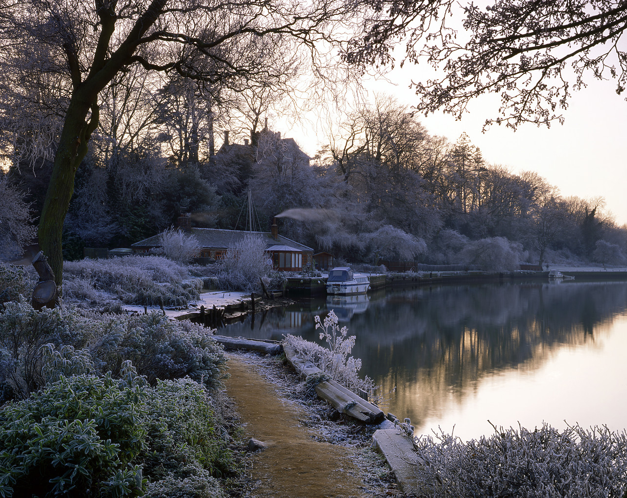 #934187 - Hoar Frost along River Yare, Bramerton, Norfolk, England