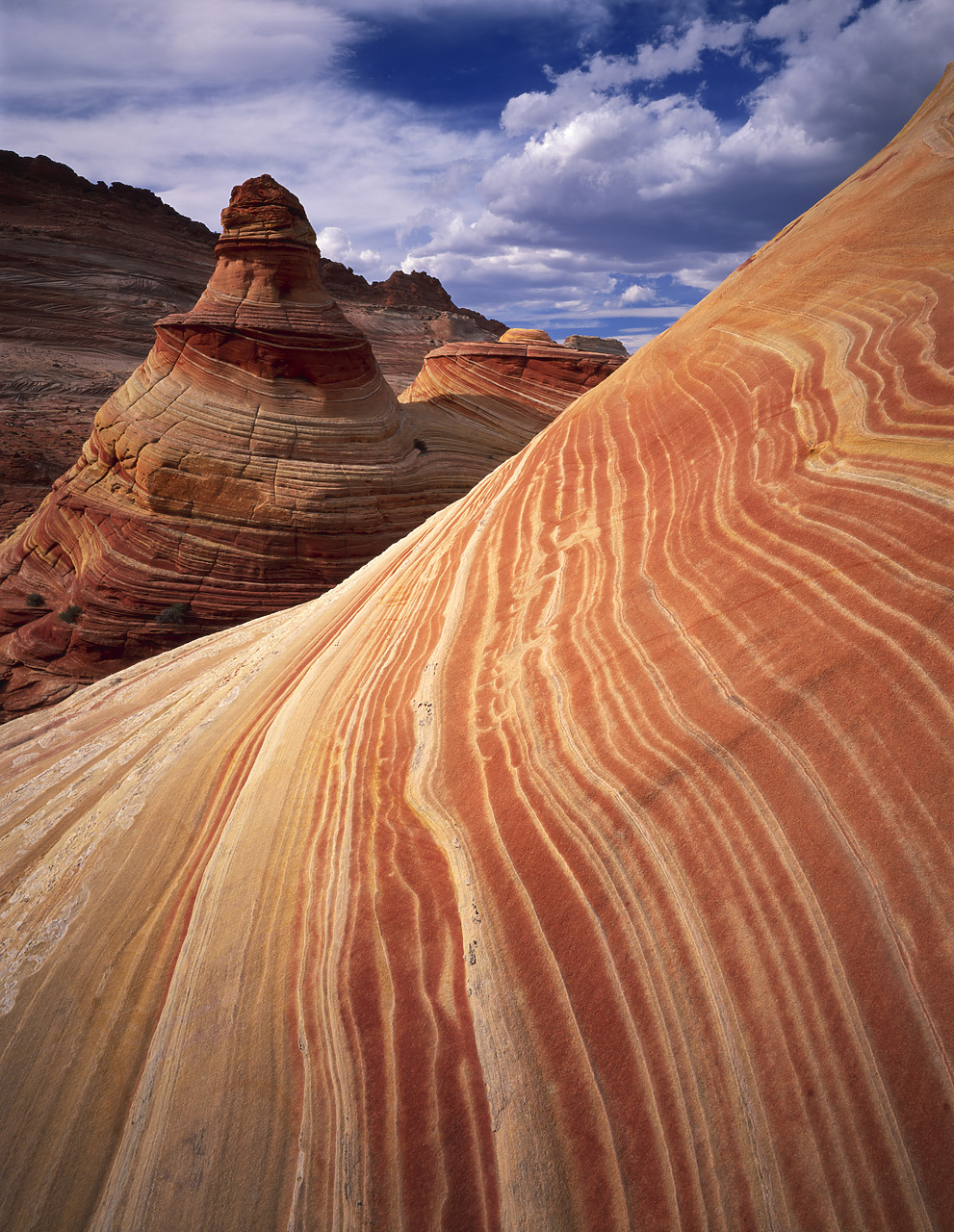 #955867-2 - Sandstone Hoodoo Formation,  Paria Canyon, Arizona, USA