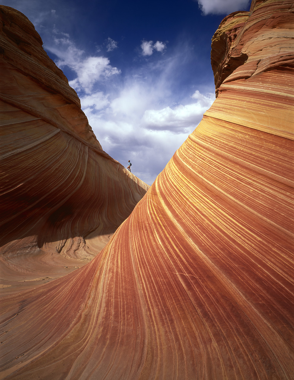 #955868-1 - Hiker on the Sandstone Wave, Paria Canyon, Arizona, USA