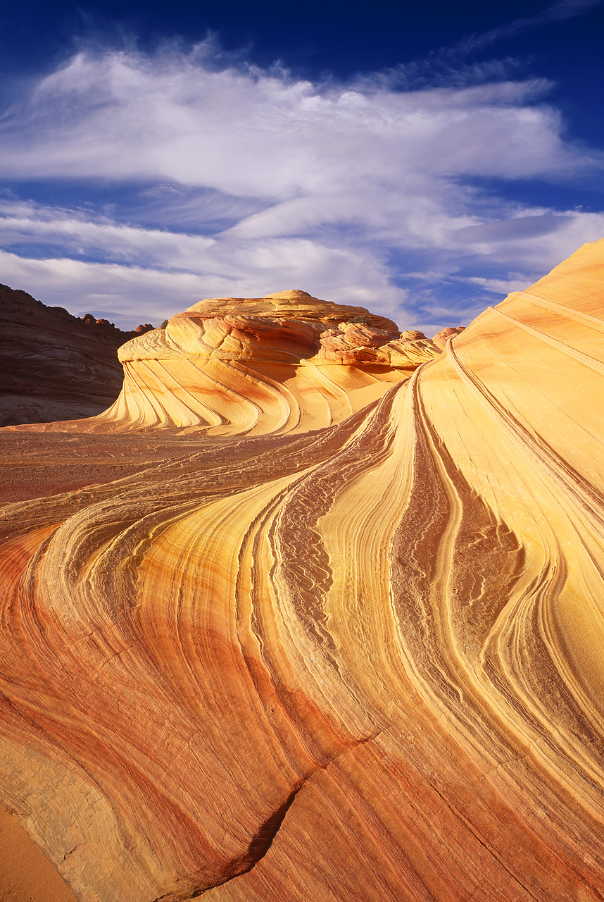 #955869-3 - Petrified Sand Dunes, Colorado Plateau, Arizona, USA