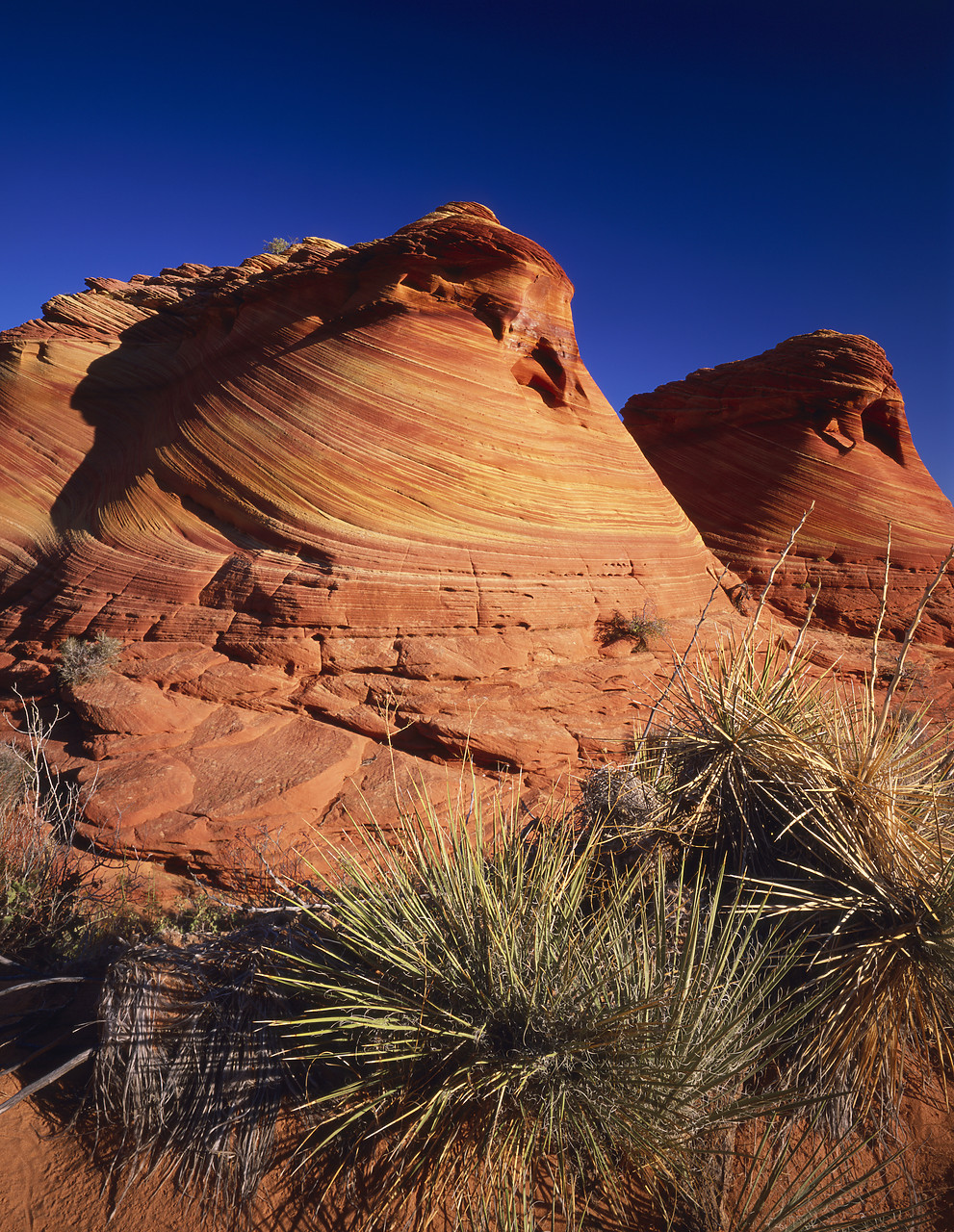 #966206-4 - Hoodoo Formation, Paria Canyon, Arizona, USA
