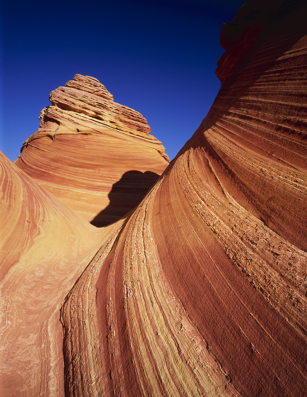 #966218-3 - Hoodoo Formation, Paria Canyon, Arizona, USA