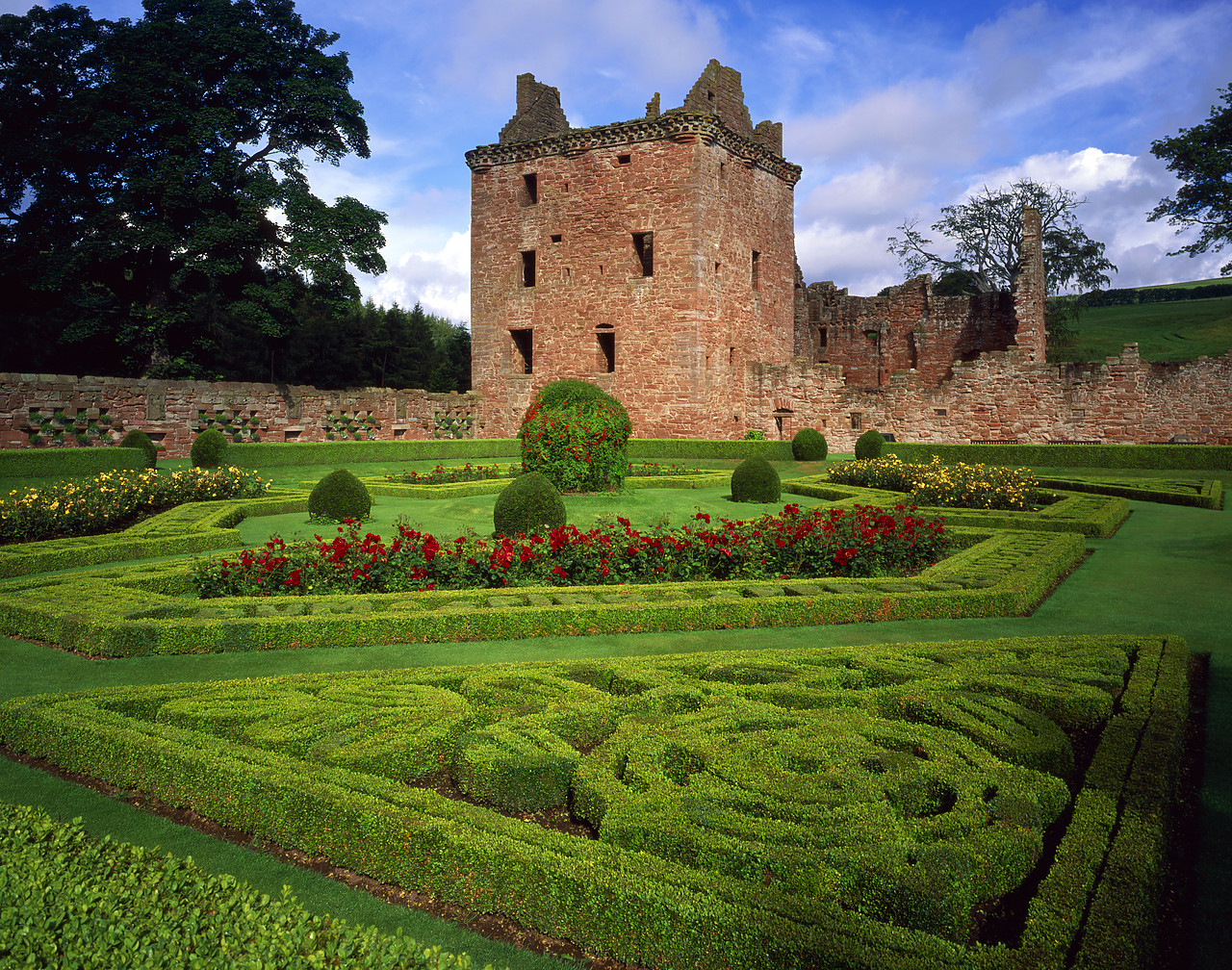 #970191-3 - Edzell Castle, & Gardens, Edzell, Tayside Region, Scotland