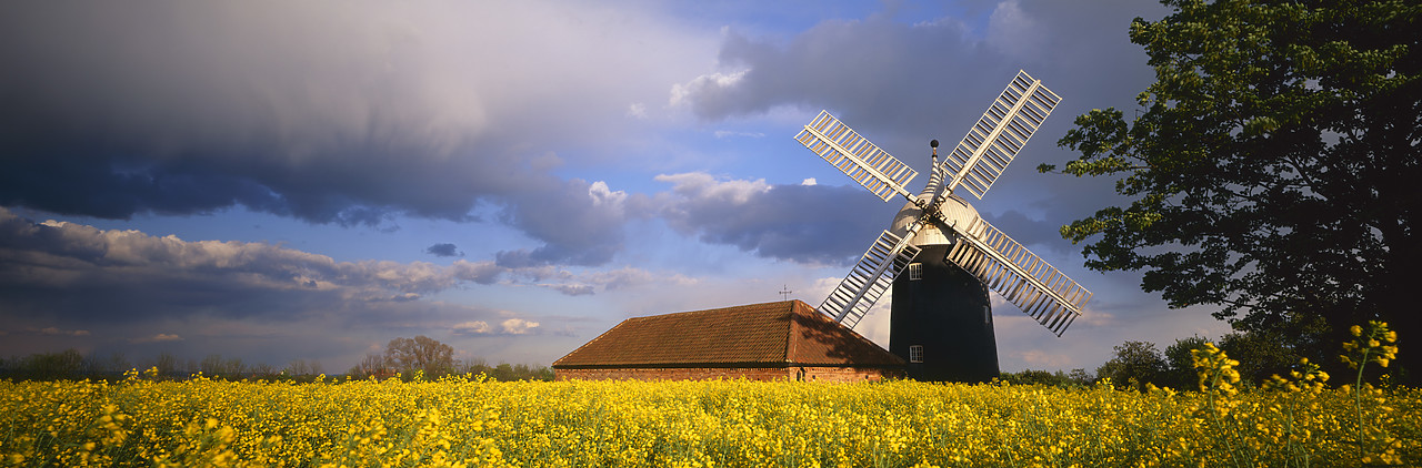 #970210-7 - Windmill & Field of Oilseed Rape, Tuxford, Nottinghamshire, England