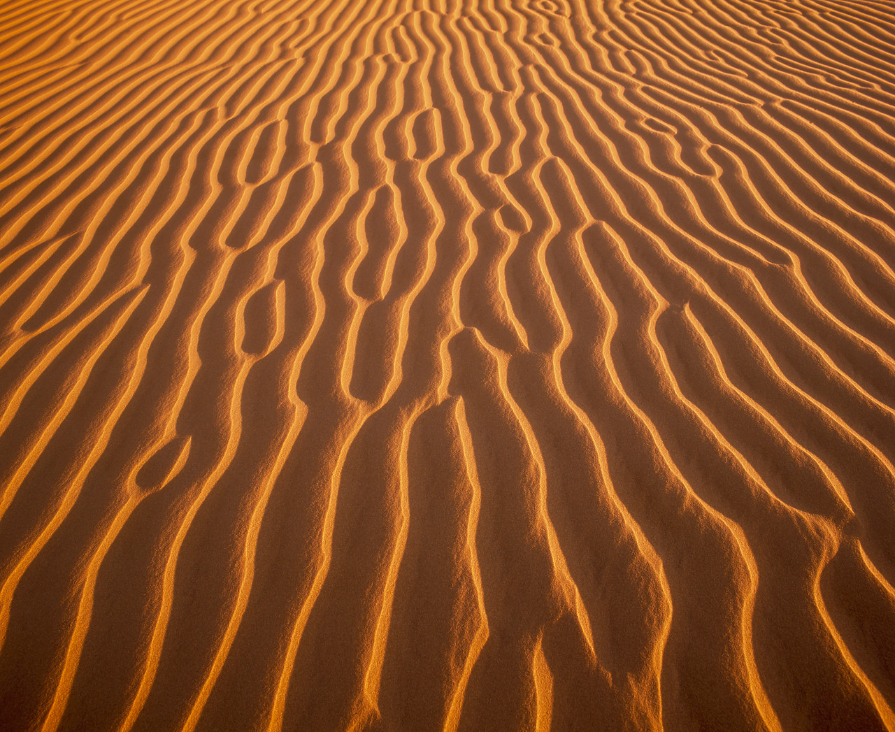 #980514-1 - Sand Dune Patterns, Algondones Dunes Wilderness, California, USA