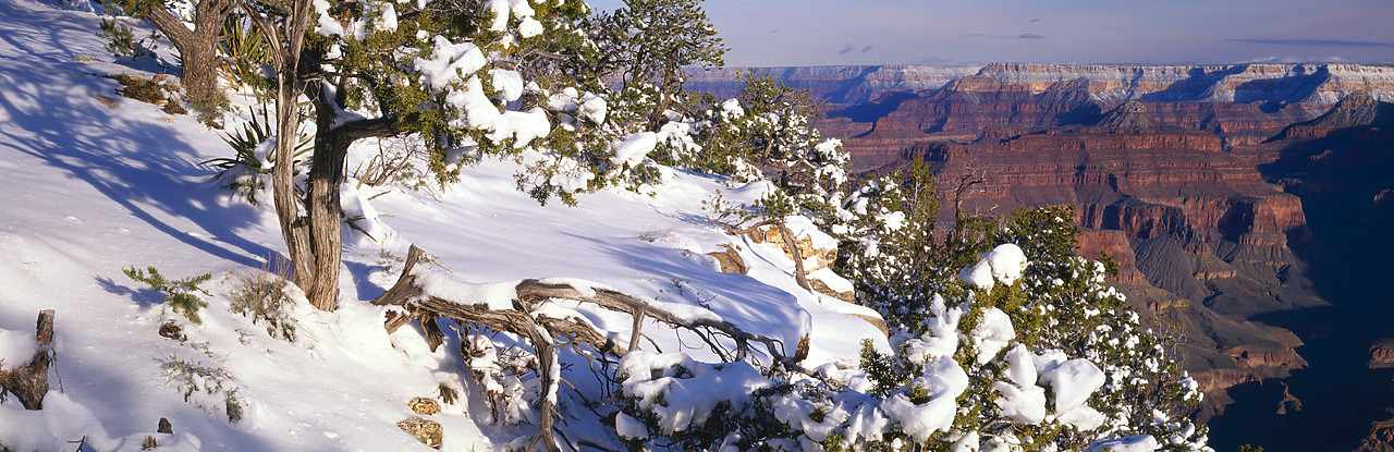 #980776-1 - Canyon in Winter, Grand Canyon, National Park, Arizona, USA